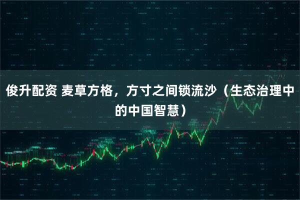 俊升配资 麦草方格，方寸之间锁流沙（生态治理中的中国智慧）