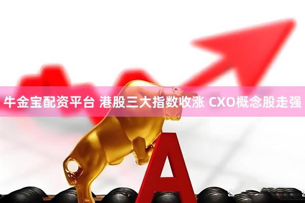 牛金宝配资平台 港股三大指数收涨 CXO概念股走强