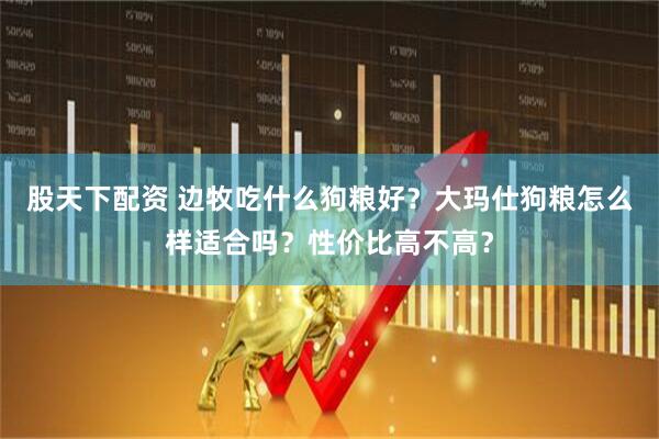 股天下配资 边牧吃什么狗粮好？大玛仕狗粮怎么样适合吗？性价比高不高？